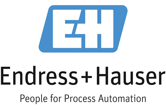 Endress + Hauser