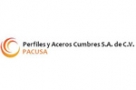 Pacusa (Perfiles y Aceros Cumbres)