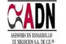Asesores en Desarrollo de Negocios