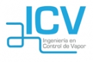 Ingeniería en Control de Vapor