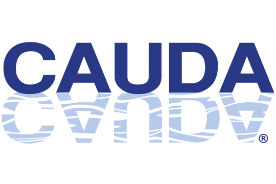 Cauda