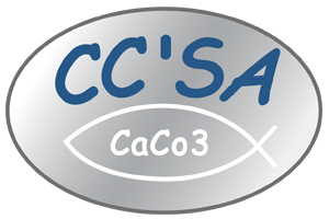 CCSA (Comercial de Carbonatos)