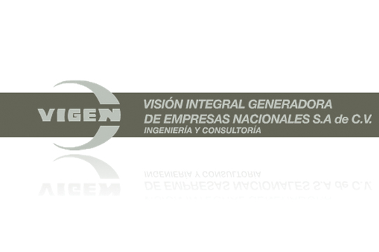 Visión Integral Generadora de Empresas Nacionales VIGEN