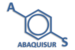 Abaquisur
