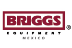 Briggs Equipment