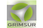 Grupo Impulsor del Sur