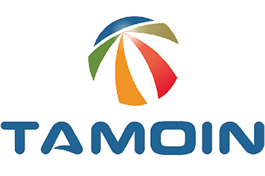 Tamoin México