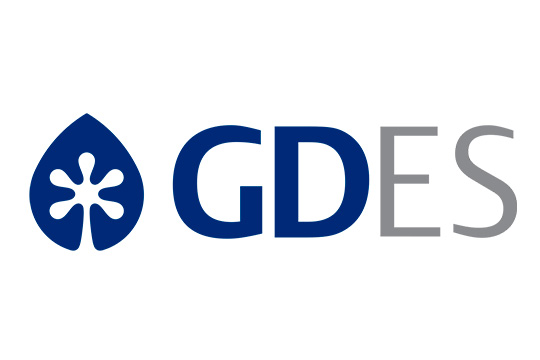 GD Energy Services (GDES)
