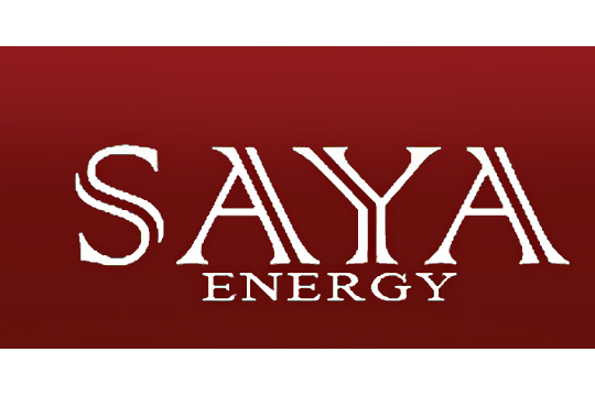 Saya Group México