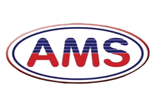 American Manufacturing Support de México