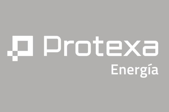 Grupo Protexa