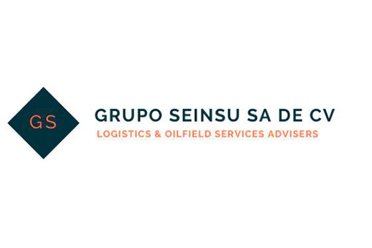Grupo SEINSU