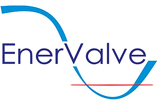 ENERVALVE