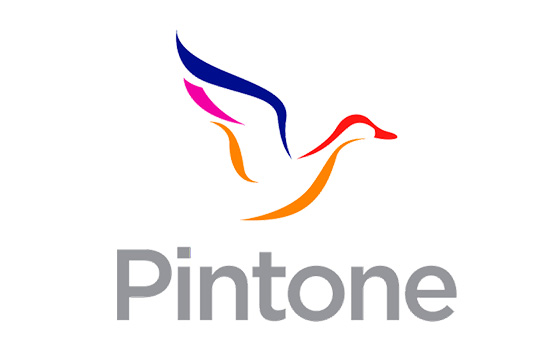 Grupo Pintone