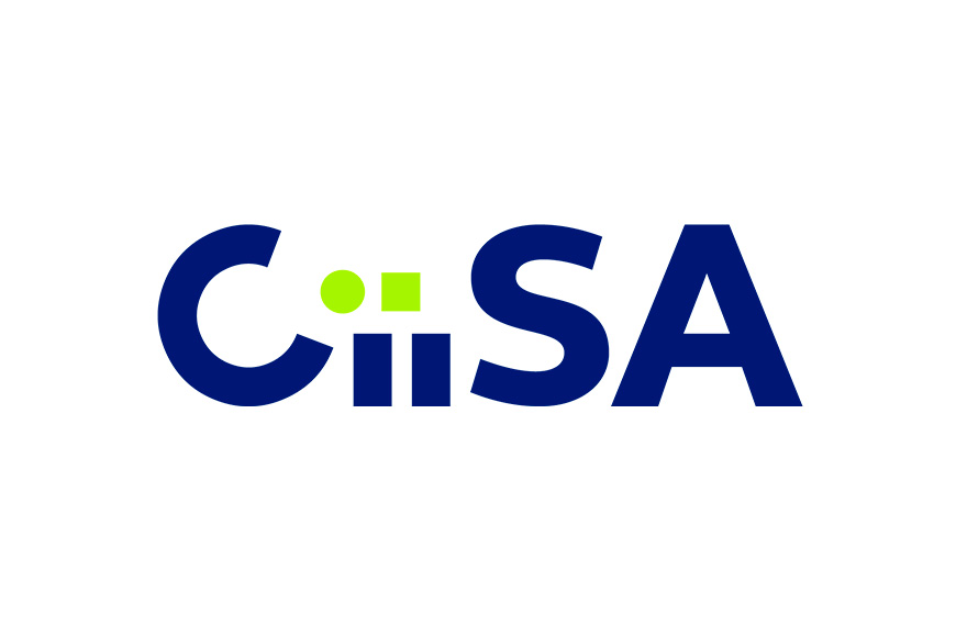 CIISA, Consultoría Integral de Informática