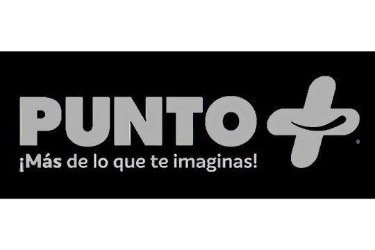 Punto +
