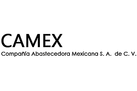 Grupo Camex