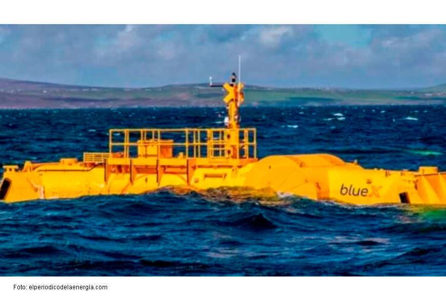 Internacional: Este es el animal gigante que nos va a ayudar a absorber la electricidad del mar: da auténtico miedo y se ve desde kilómetros