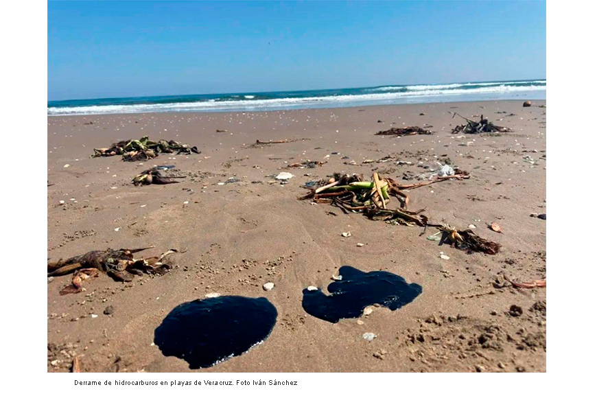 Detectar efectos tóxicos por derrame de hidrocarburos en el Golfo llevará meses y será costoso: expertos