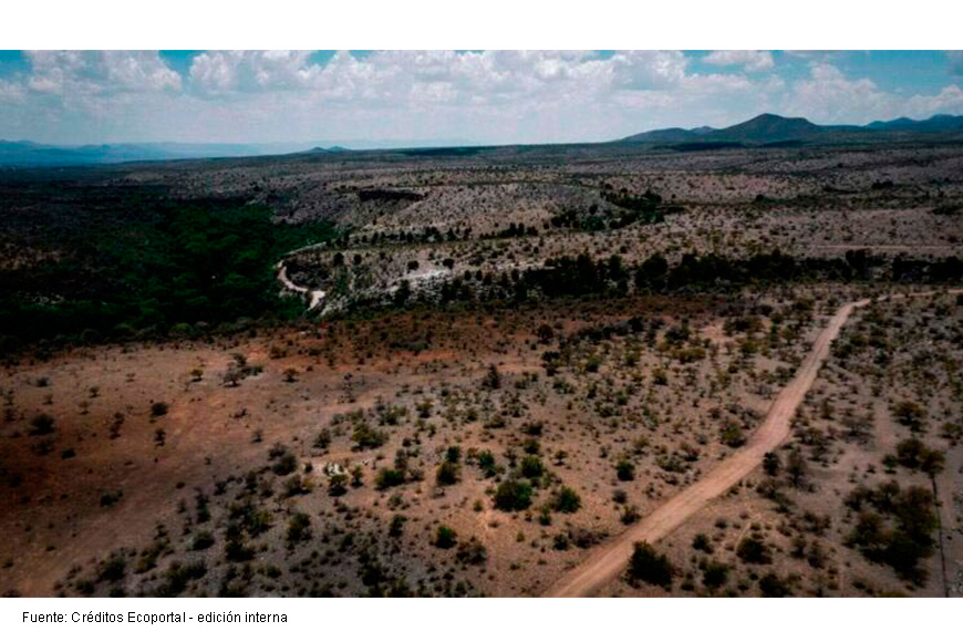 Los dueños de Groenlandia ya no quieren hielo: Encontraron «algo» en los desiertos mexicanos