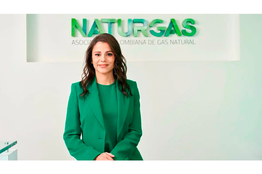 Internacional: Naturgas pide adoptar medidas urgentes para evitar inminente escasez de gas natural 