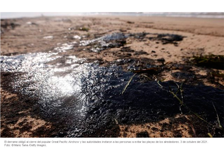 El petróleo y sus residuos alteran el desarrollo de los invertebrados marinos